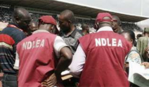 NDLEA