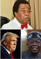 If I were President Tinubu, I would try to steer clear of antagonizing Trump ~ Akinyemi