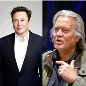 Steve Bannon Slams Elon Musk, Voils To Take Him Out