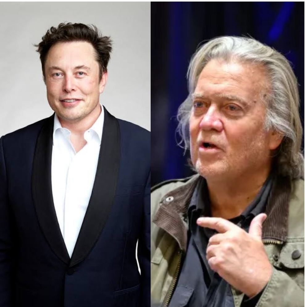 Steve Bannon Slams Elon Musk, Voils To Take Him Out