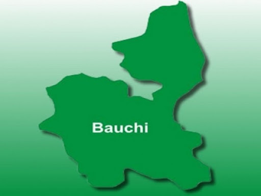 Group vaccinates 12,000 animals in Bauchi against fatal infections.