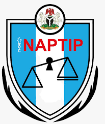 NAPTIP breaks a baby factory in Abuja, saving nine pregnant women.