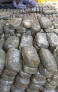 495kg of Indian Hemp Seized from Fake Police Officer in Gombe.